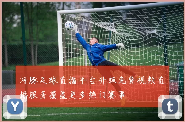 河豚足球直播平台升级免费视频直播服务覆盖更多热门赛事