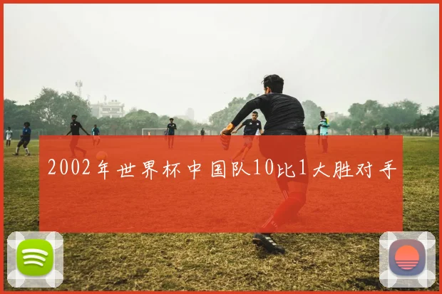 2002年世界杯中国队10比1大胜对手