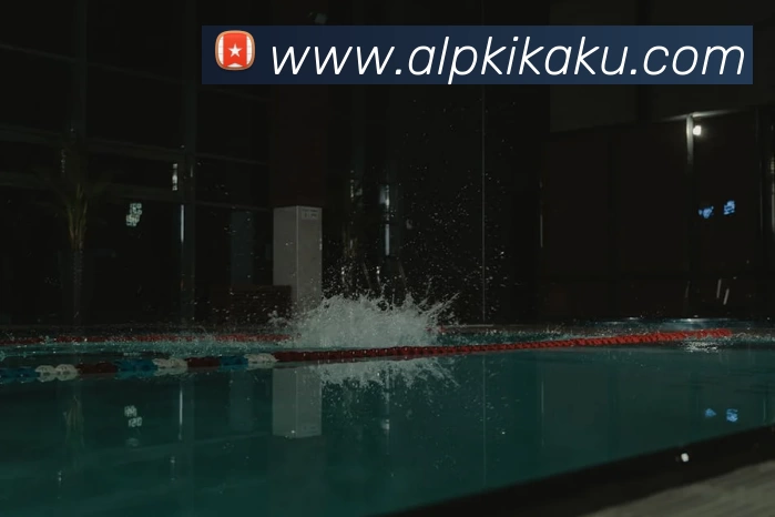 App Interface Preview